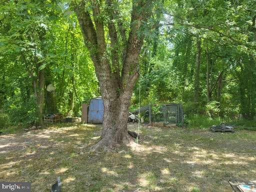 1008 Phillips Street photo 12