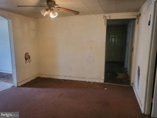 1008 Phillips Street photo 3
