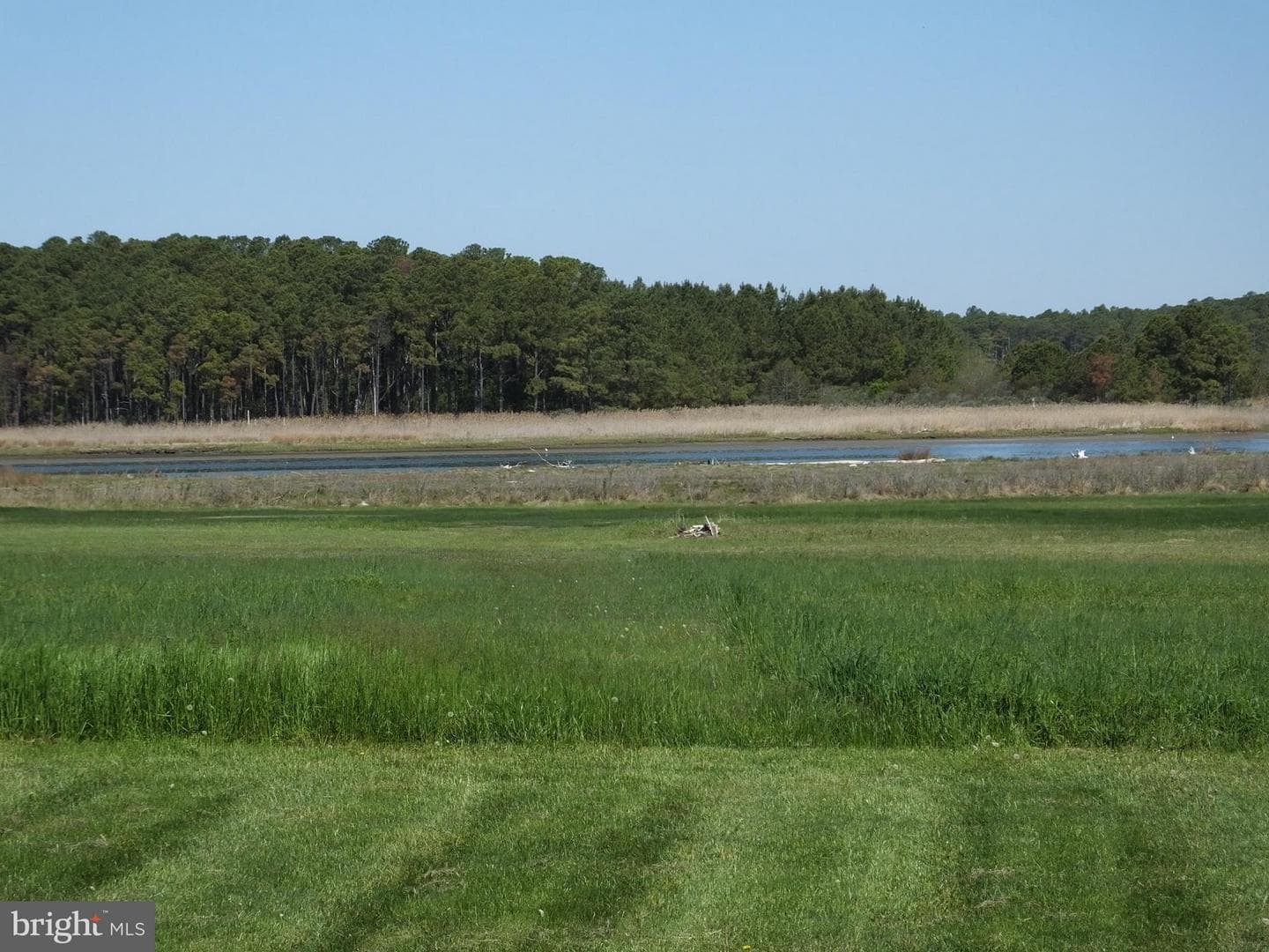 2826 Hoopers Island Road photo 13