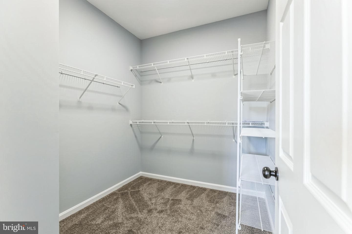 1520 Glasgow Street photo 13