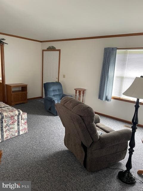 4010 Bradley Circle photo 15