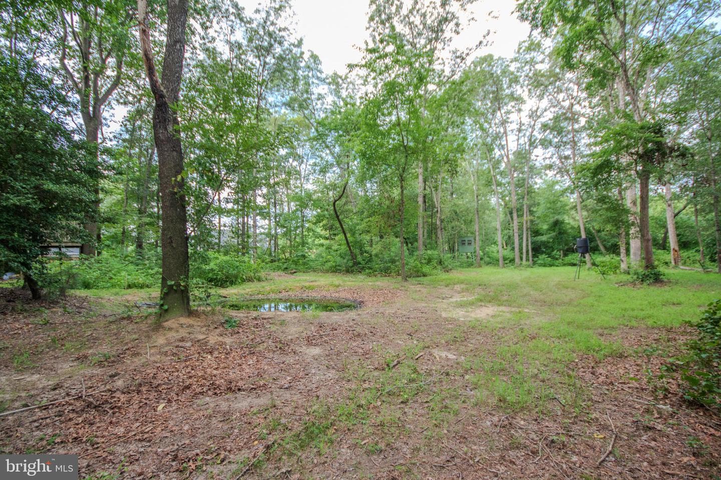 4856 Skinners Run Road photo 49