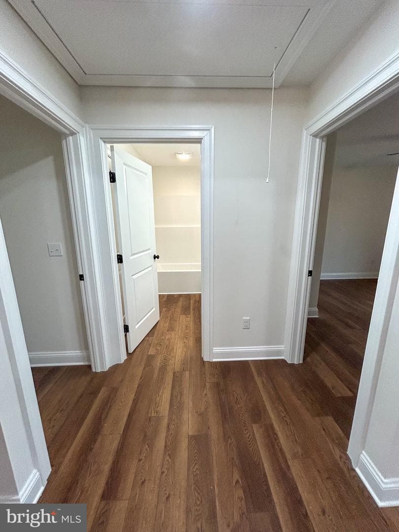 311 Prospect Street photo 16