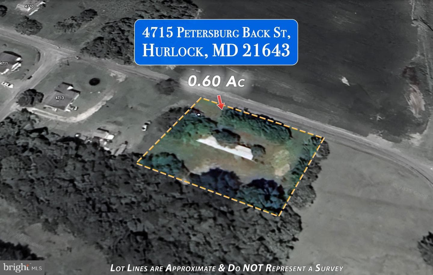 4715 Petersburg Back Street photo 15