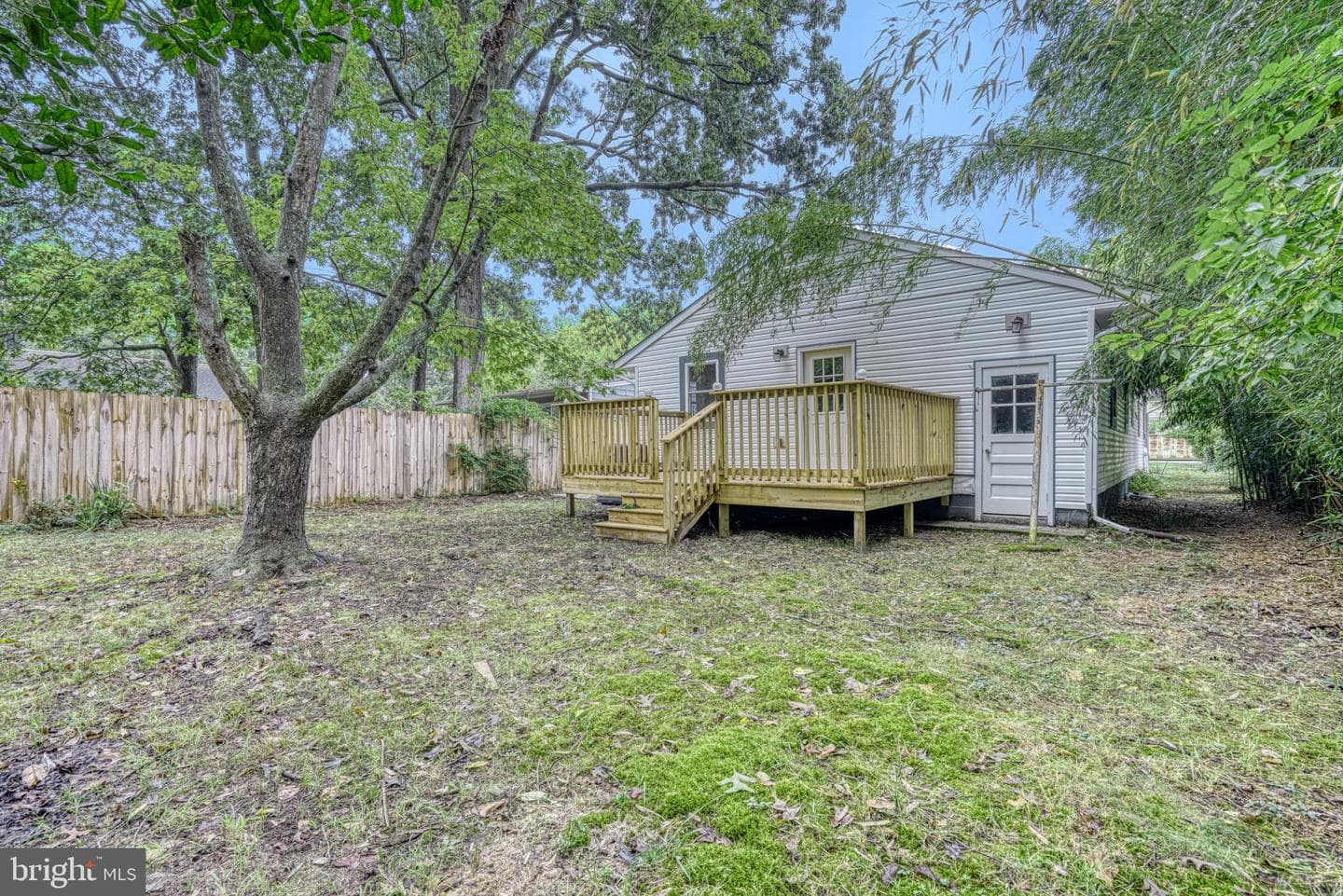 18 Oak Street photo 39