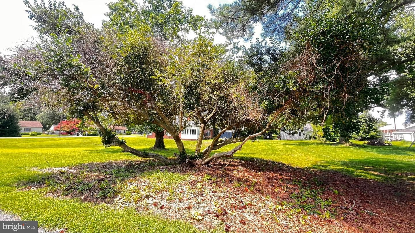 201 Buena Vista Avenue photo 15