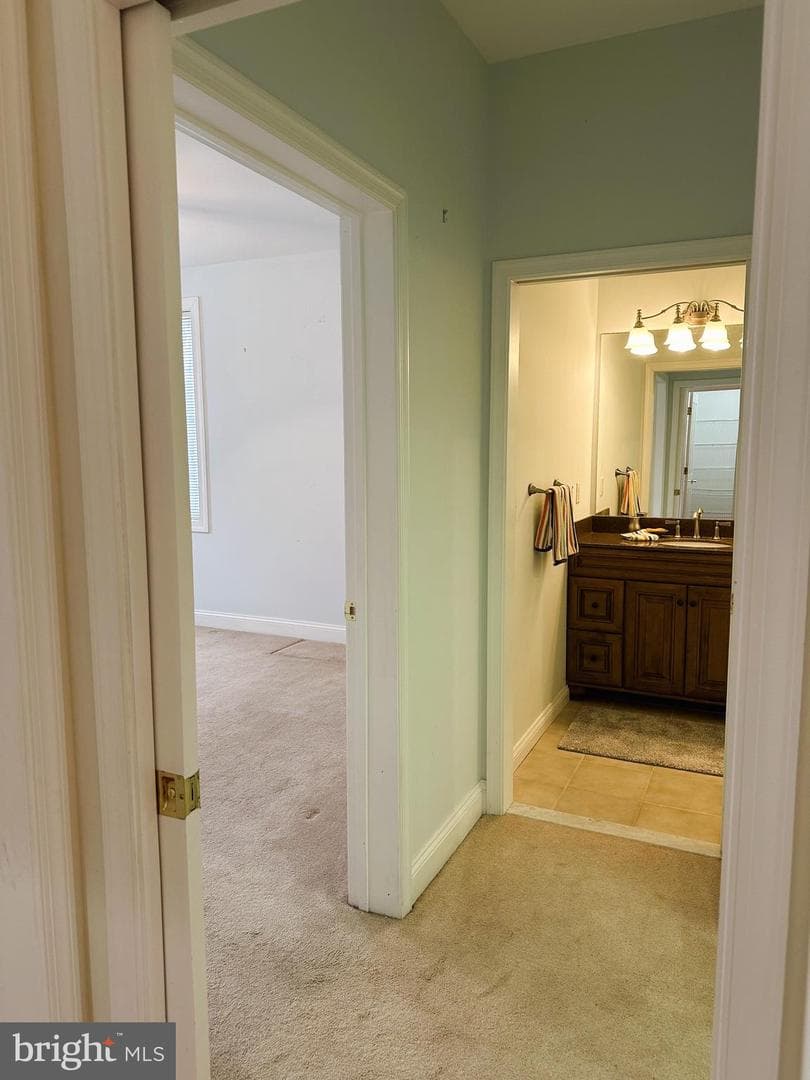 5 Oakley Street #102 photo 15