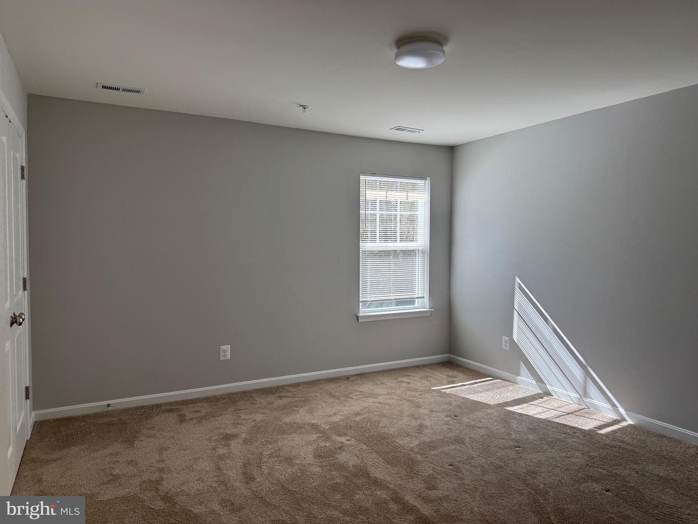 101 Albemarle Court photo 24