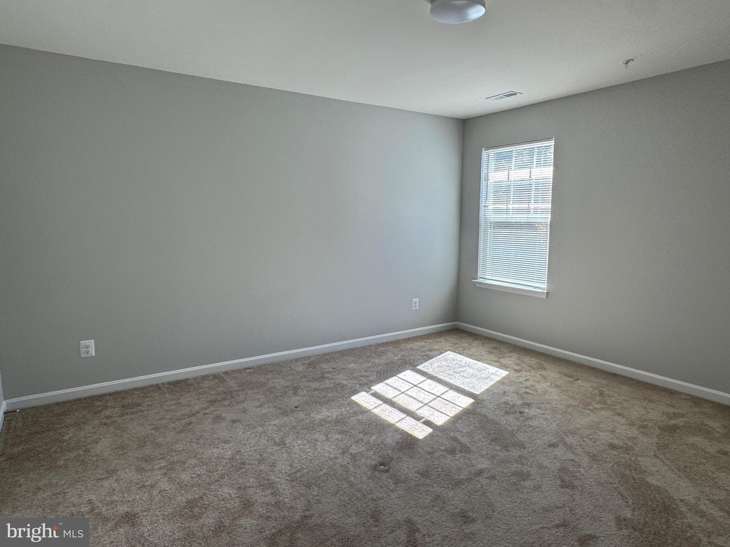 101 Albemarle Court photo 29