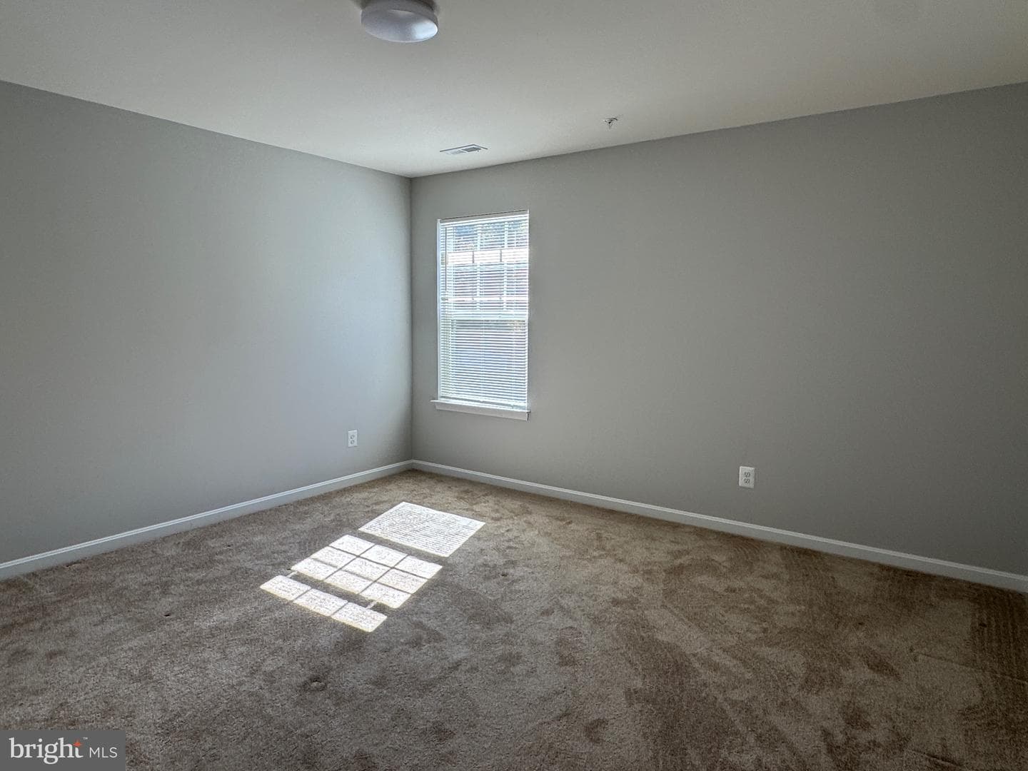 101 Albemarle Court photo 30