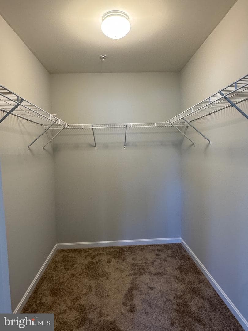 101 Albemarle Court photo 35