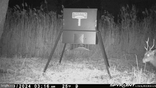 3241 Robbins Road photo 38