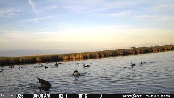 3241 Robbins Road photo 4