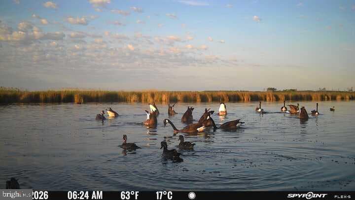 3241 Robbins Road photo 6