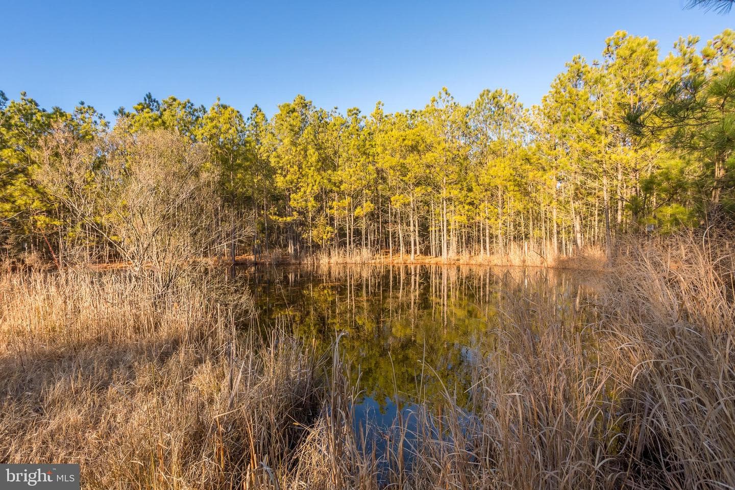 3819 Maple Dam Road photo 45