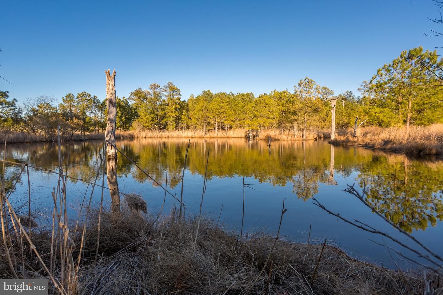 3819 Maple Dam Road photo 56