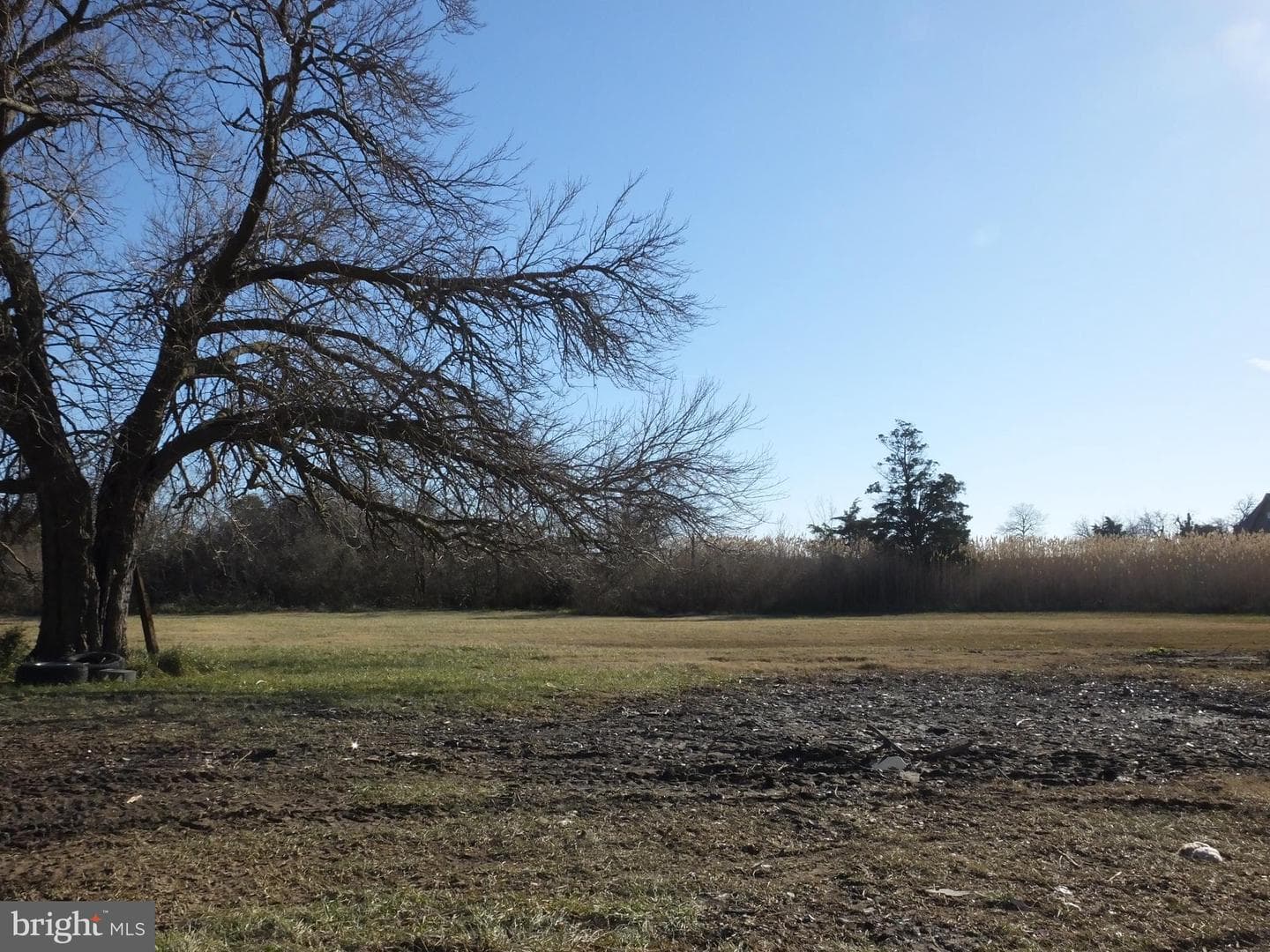 1213 Horse Point Road photo 4