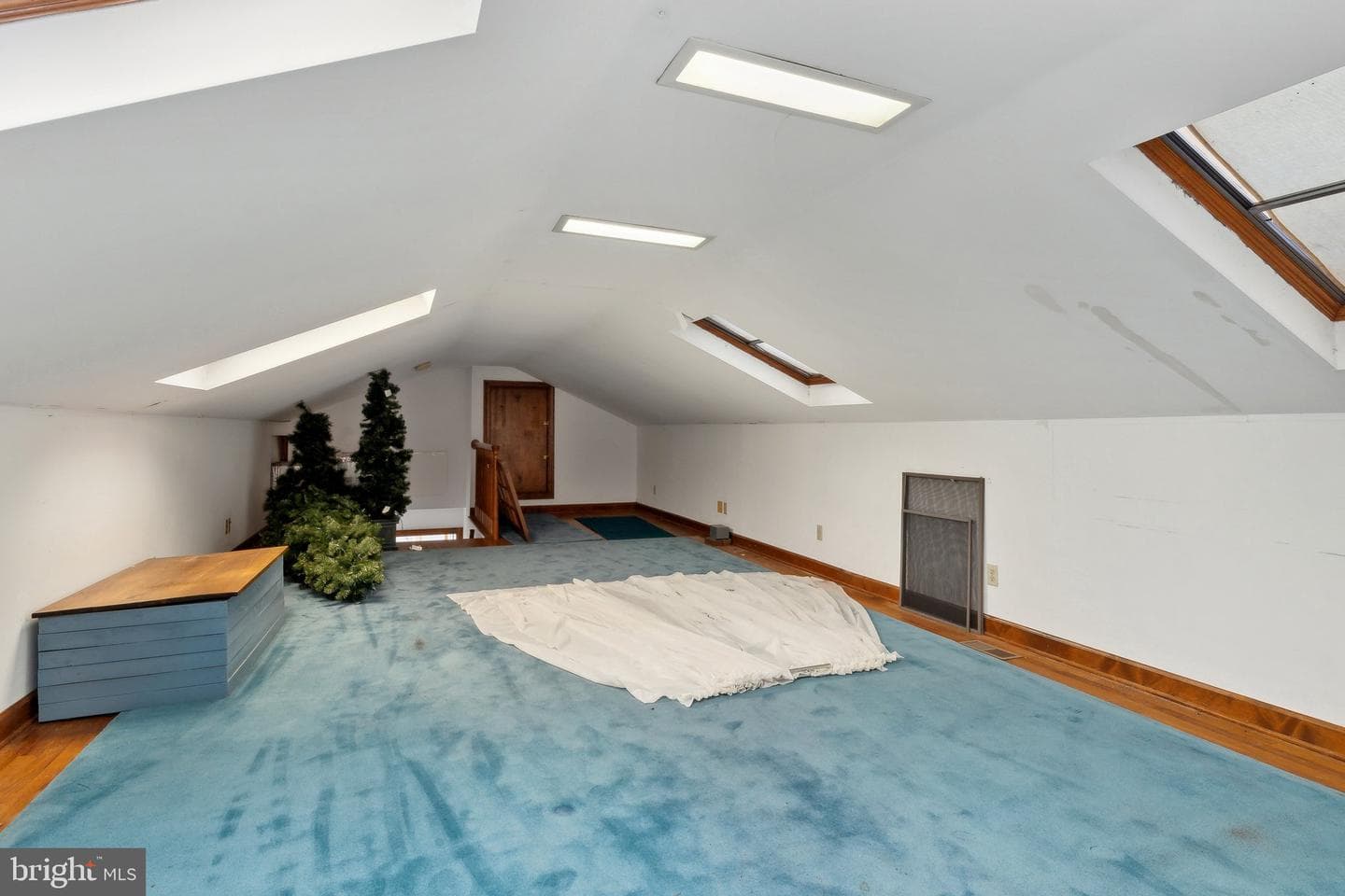 5253 Ragged Point Road photo 55