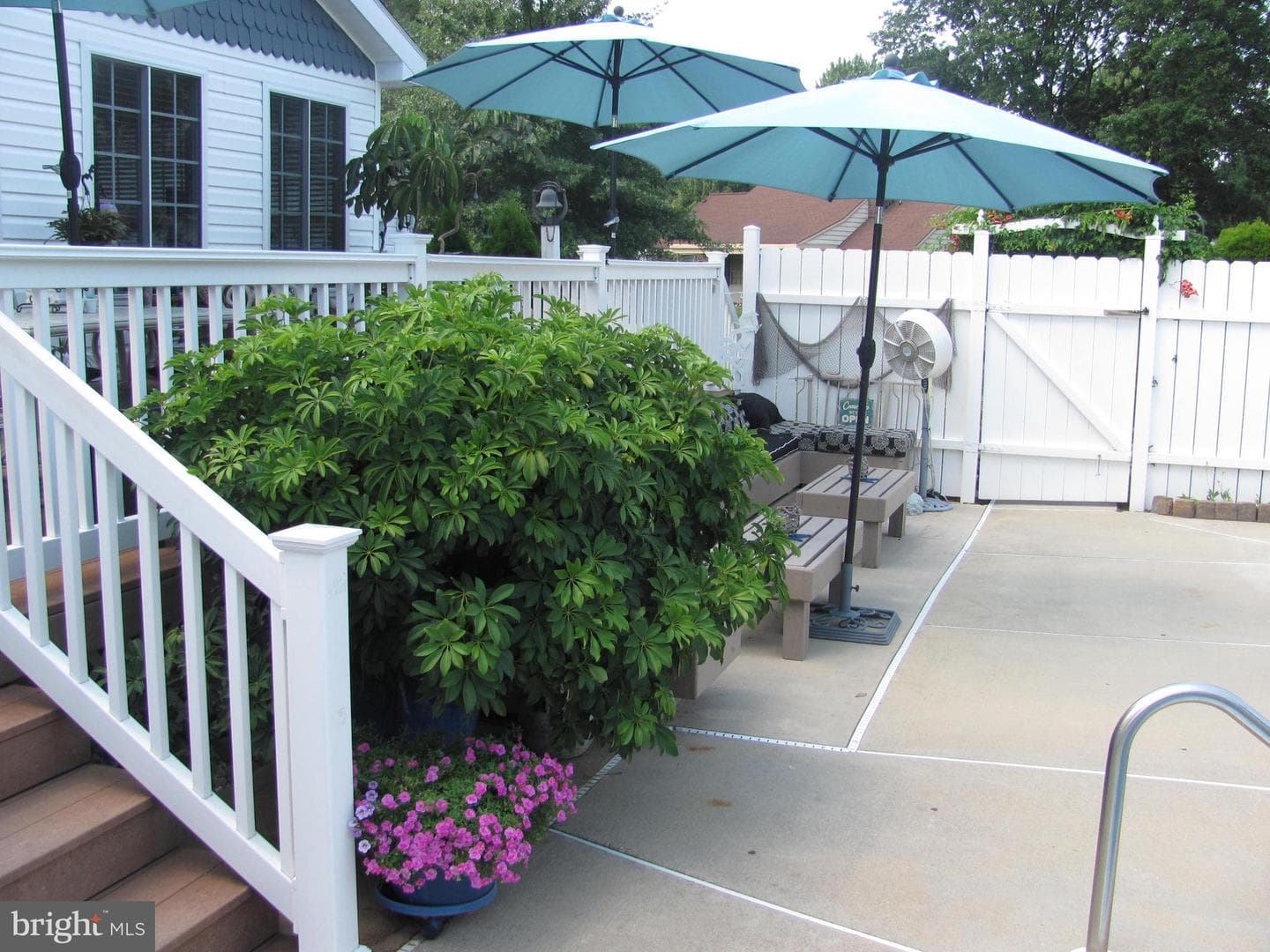 19 Holly Terrace photo 18