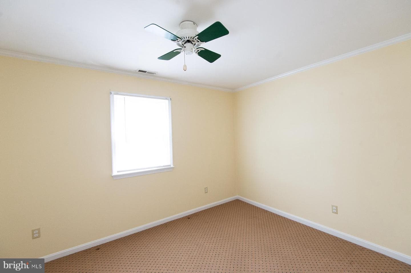 19 Holly Terrace photo 56