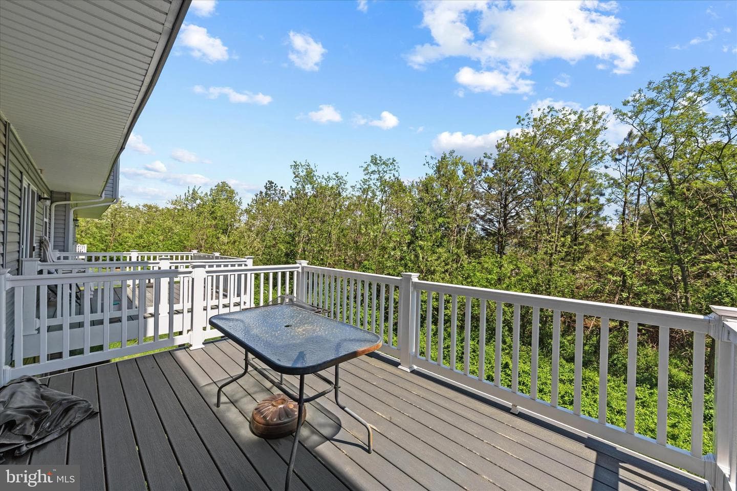 206 Red Bill Ln photo 31