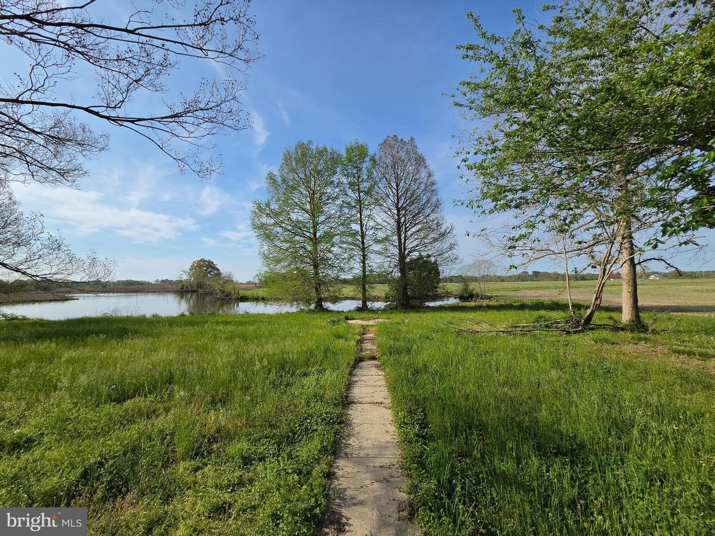 4731 Egypt Road photo 2