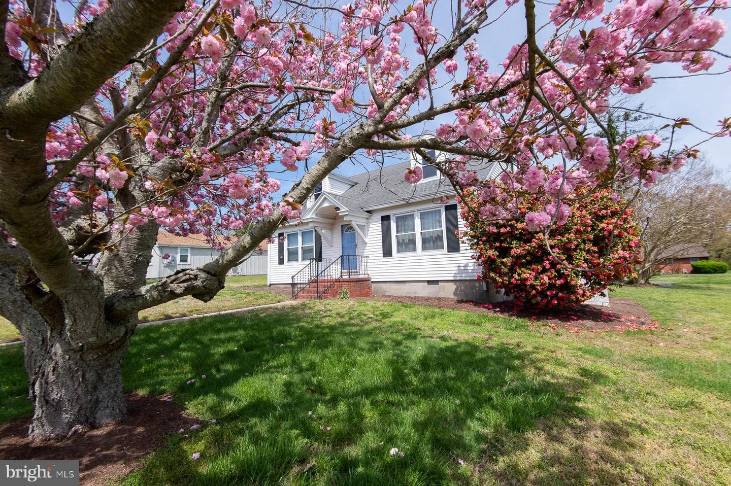 209 Buena Vista Avenue photo 18