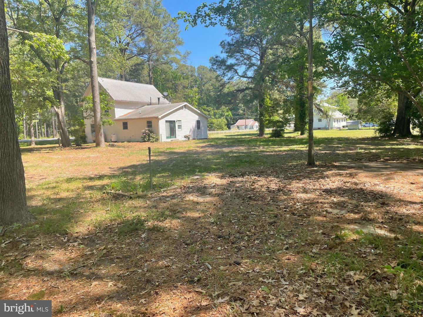 1113 Taylors Island Road photo 10