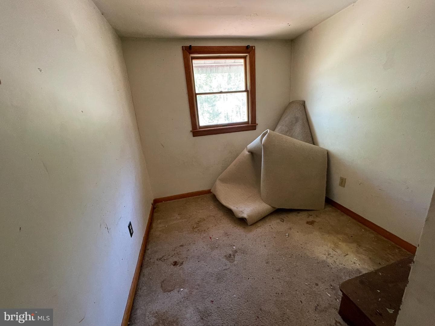 1113 Taylors Island Road photo 29