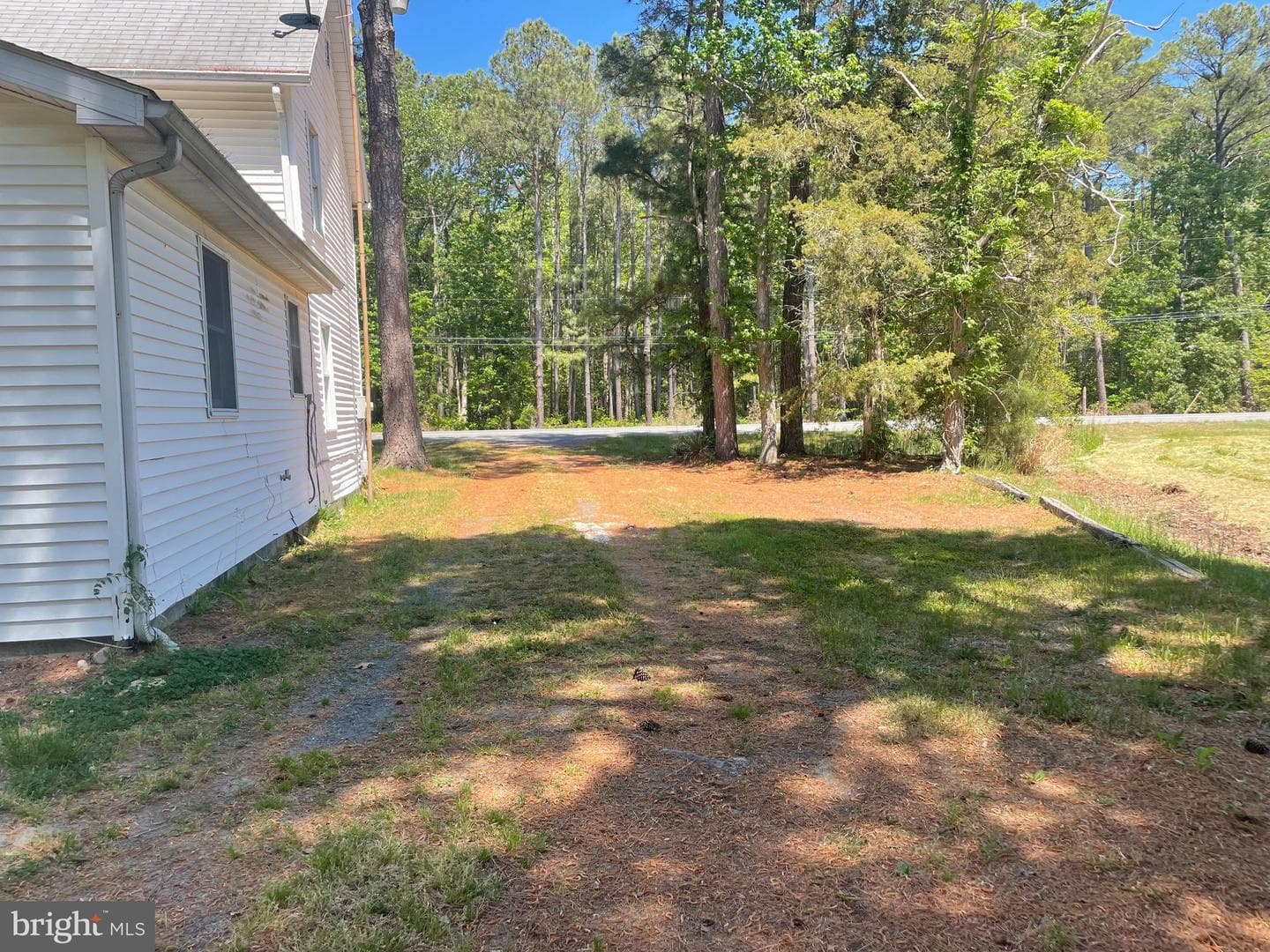 1113 Taylors Island Road photo 33