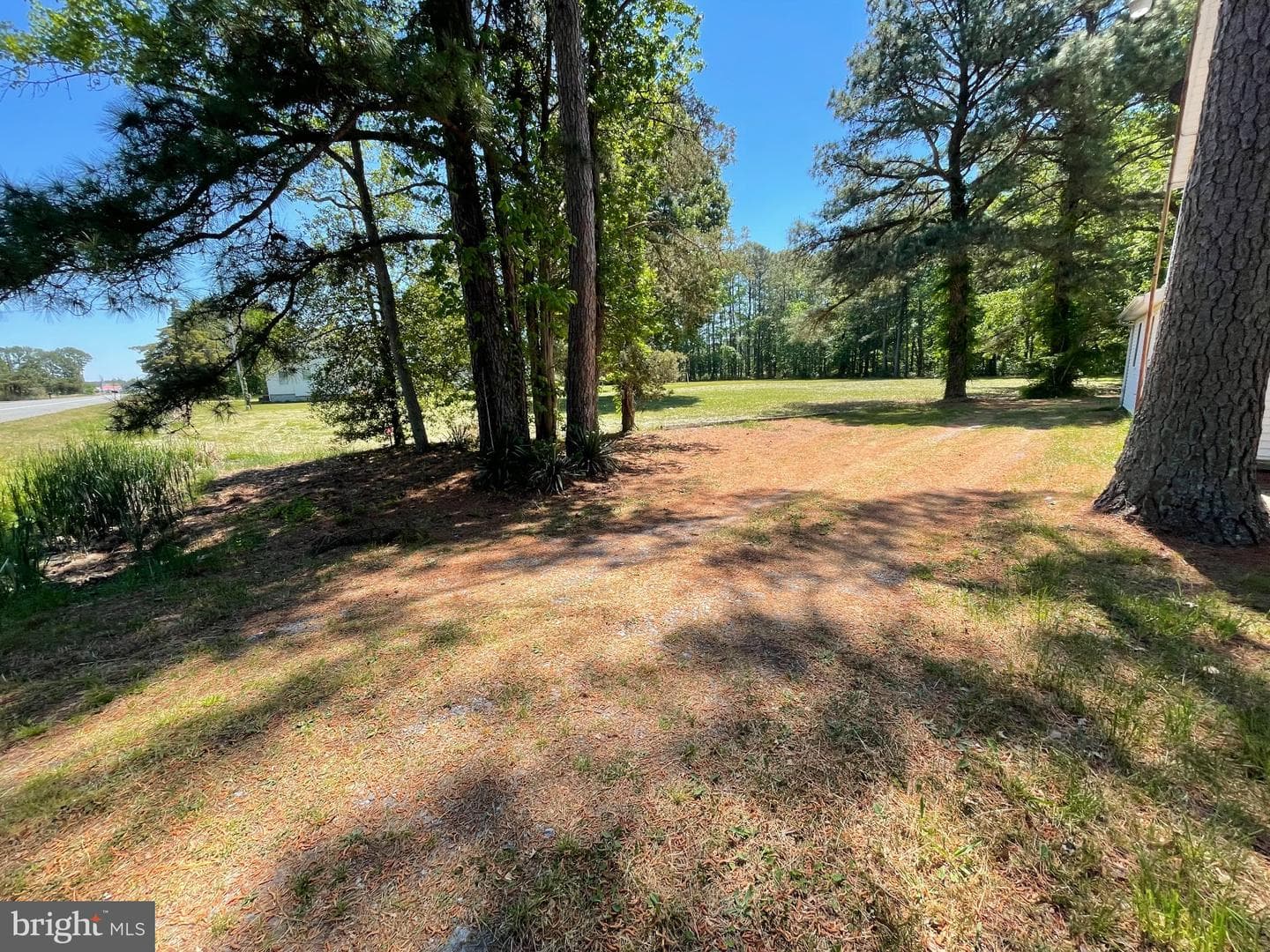 1113 Taylors Island Road photo 35