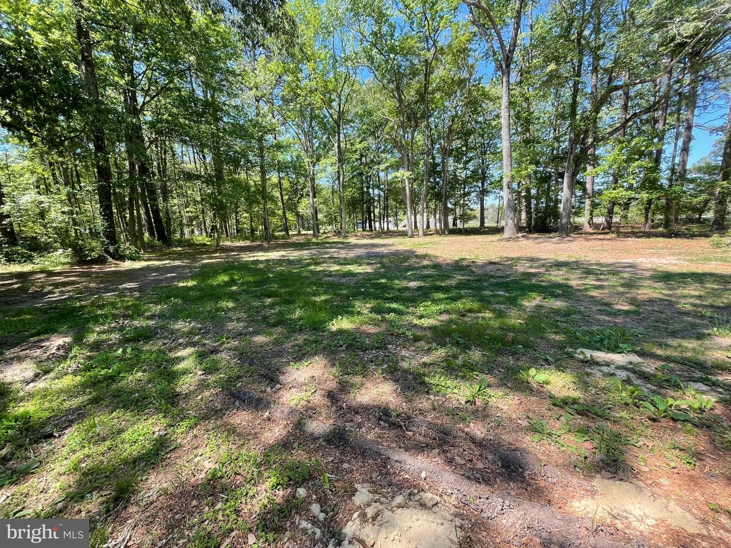 1113 Taylors Island Road photo 7