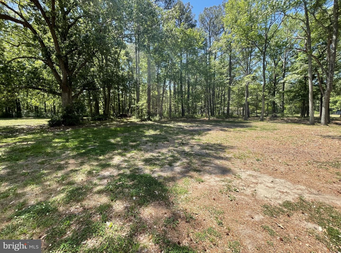 1113 Taylors Island Road photo 8