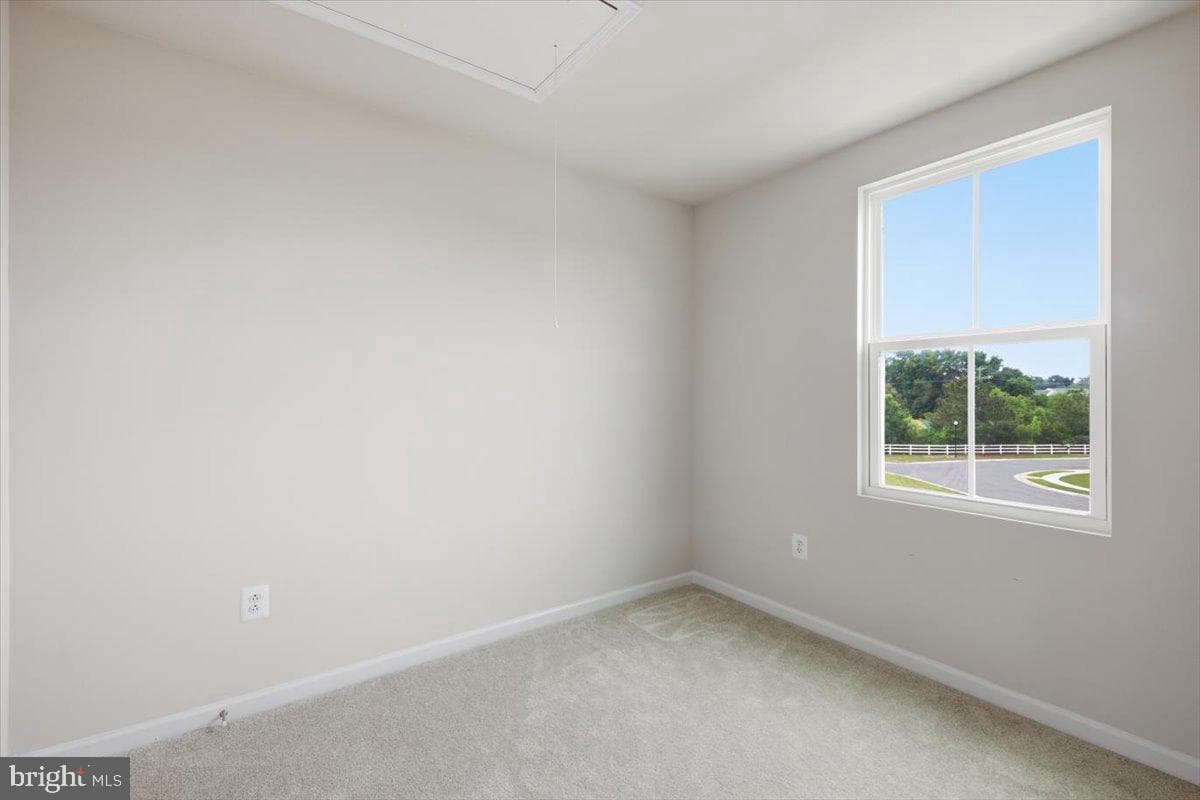 205 Yellow Bill Ln photo 22