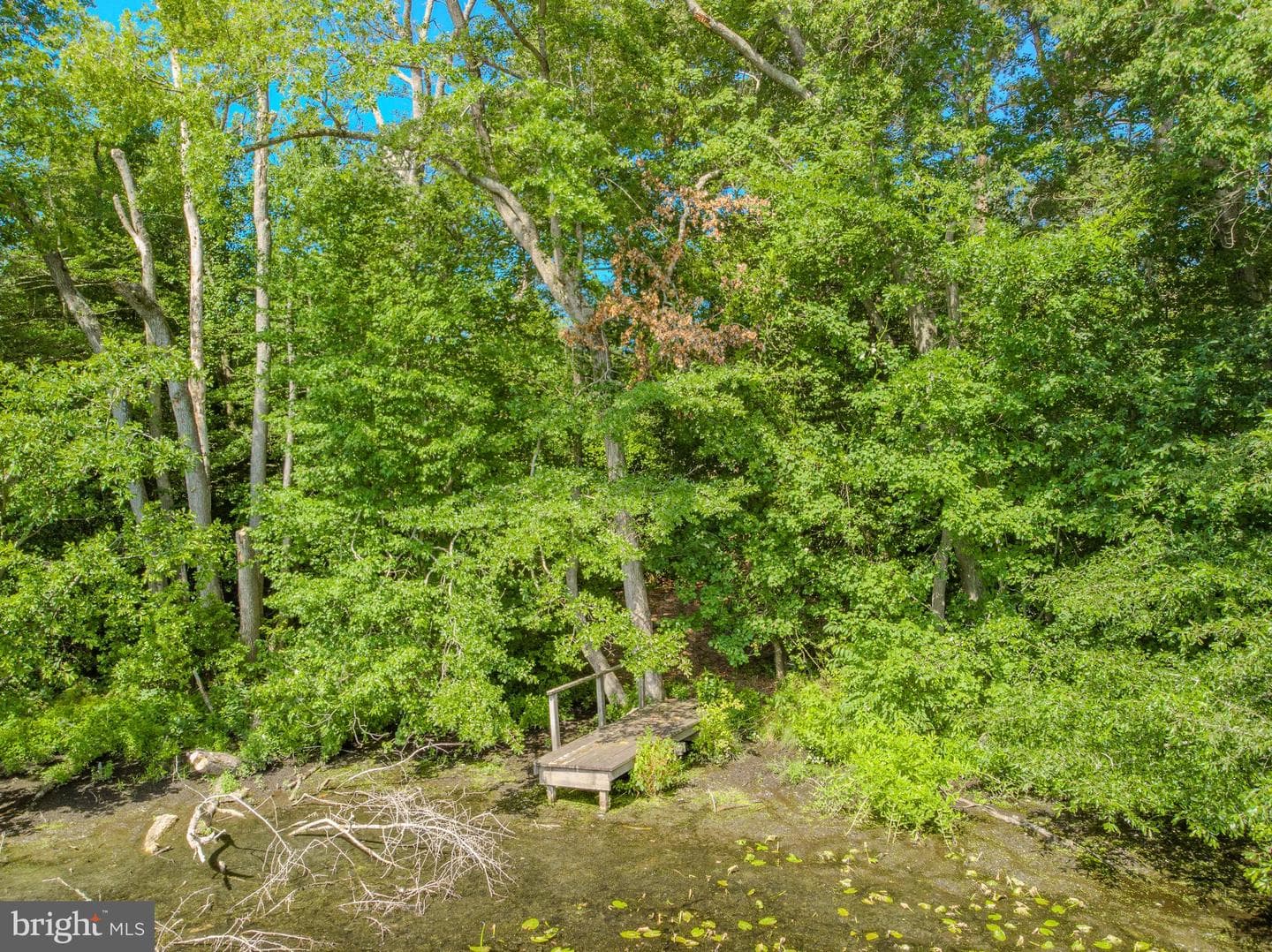 5715 Galestown Newhart Mill Road photo 51