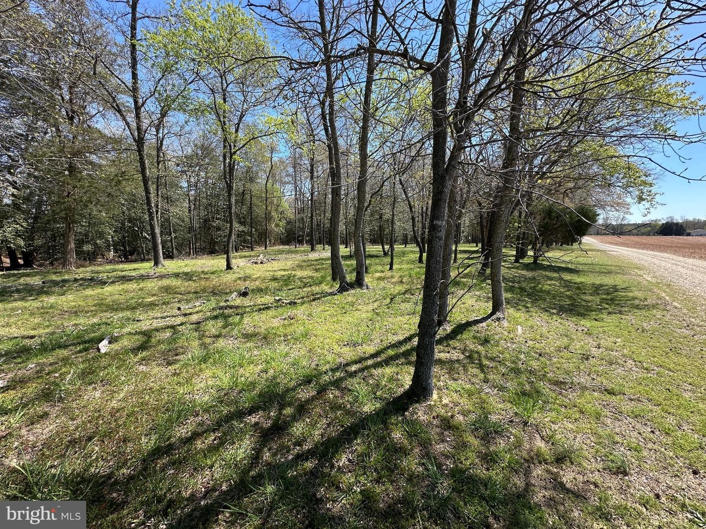 5113 River Road photo 51
