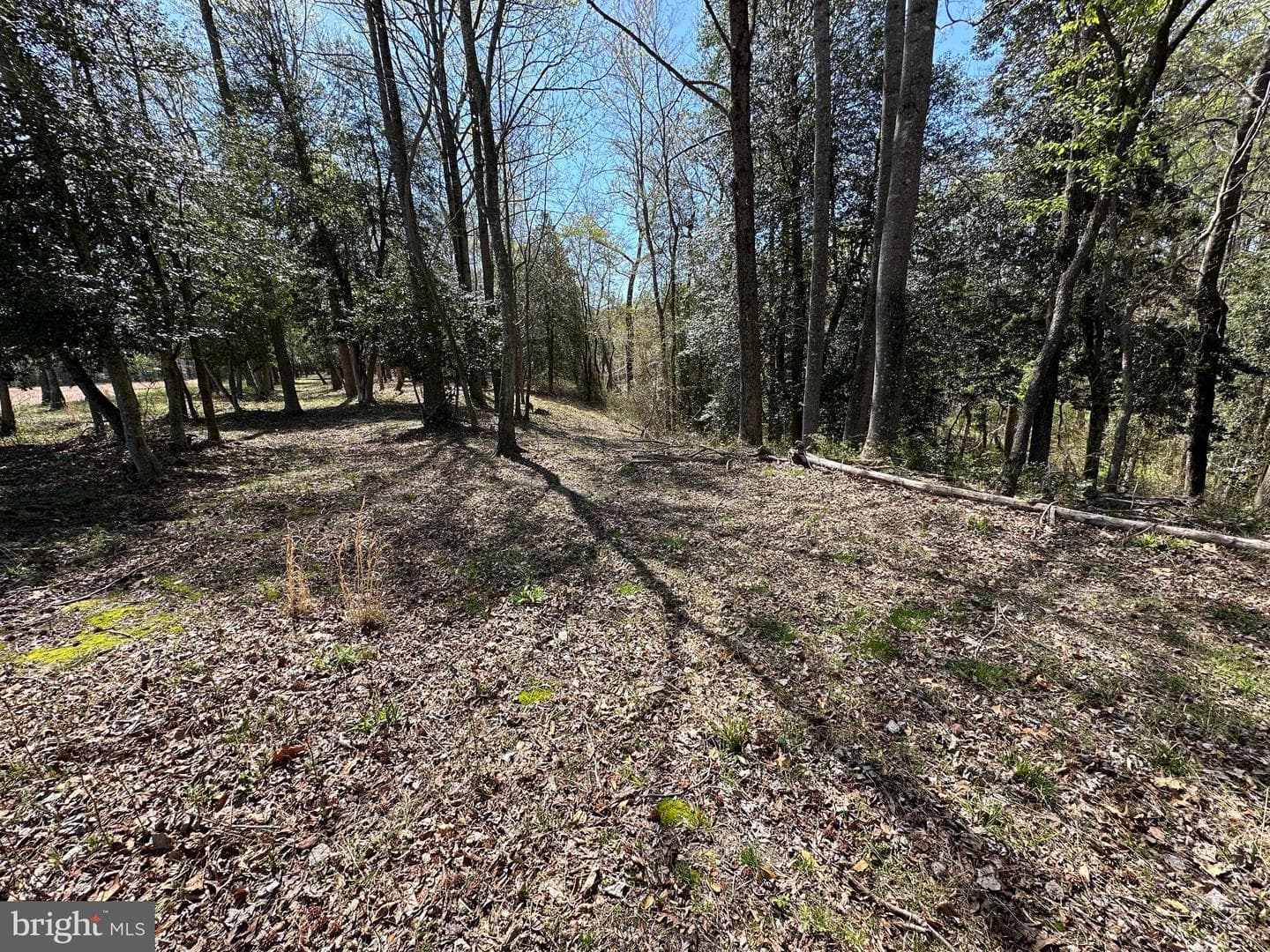 5113 River Road photo 52