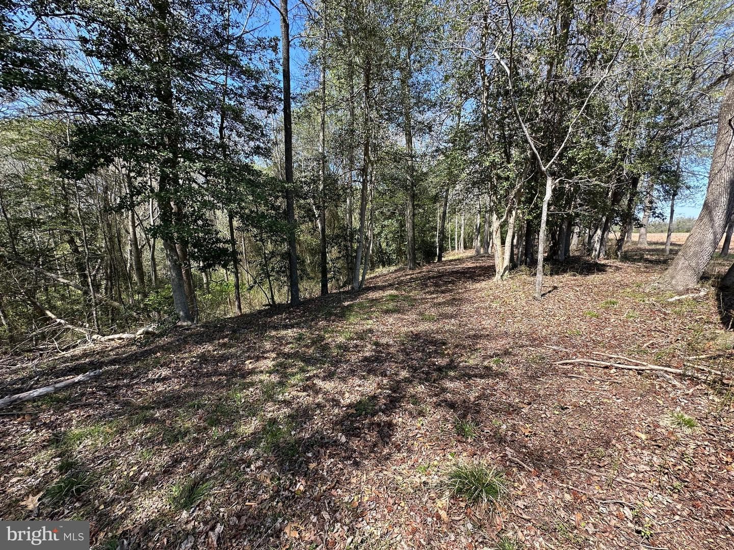 5113 River Road photo 53