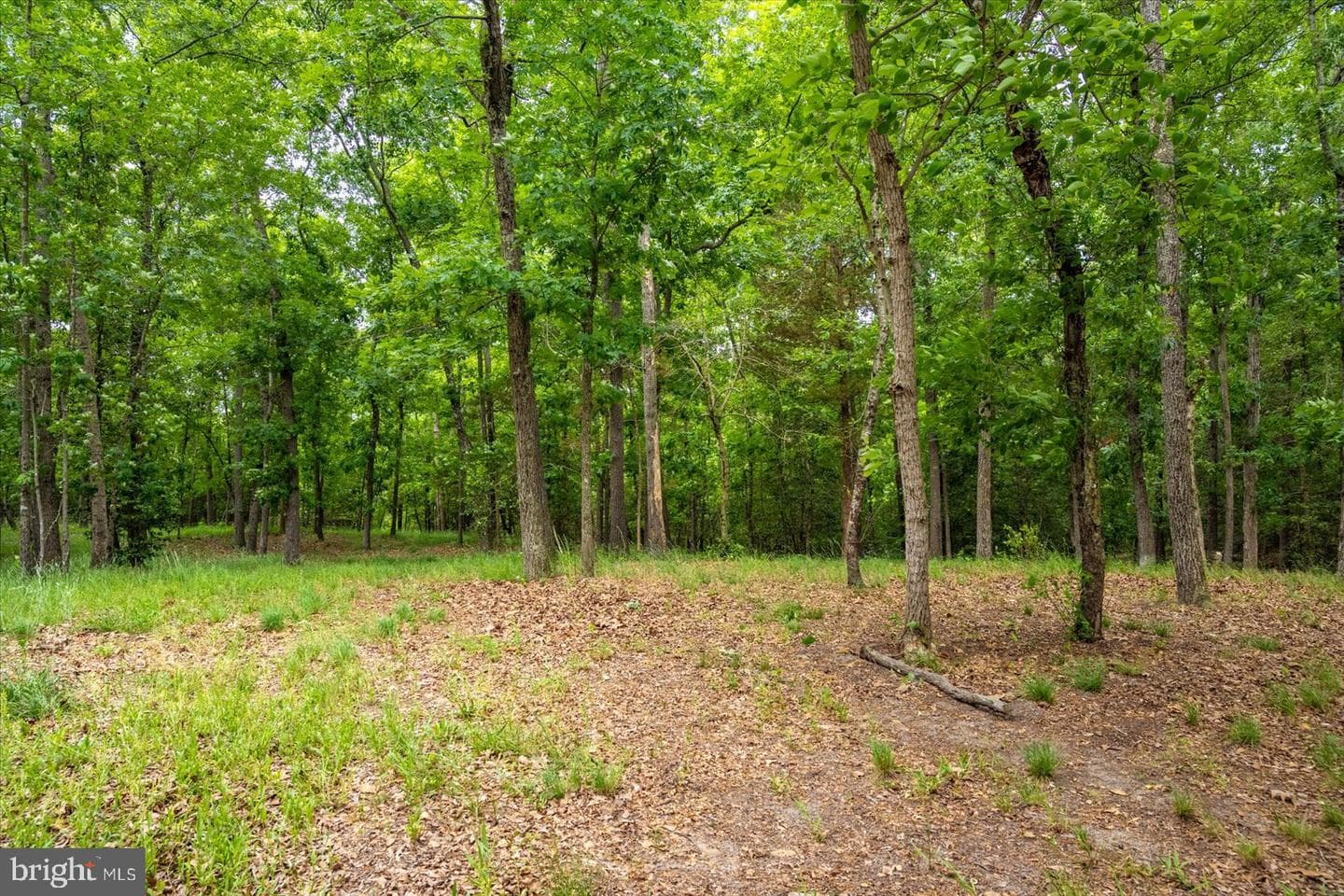 5113 River Road photo 7