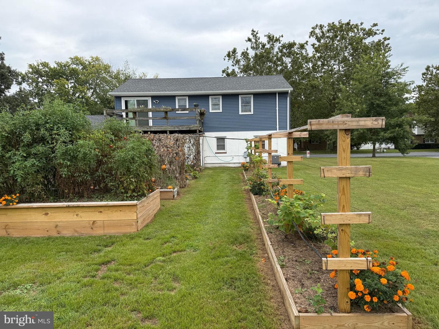 9 Merryweather Drive photo 13