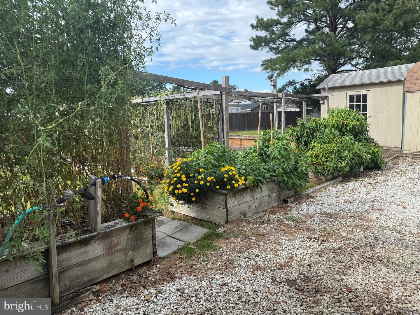 9 Merryweather Drive photo 14