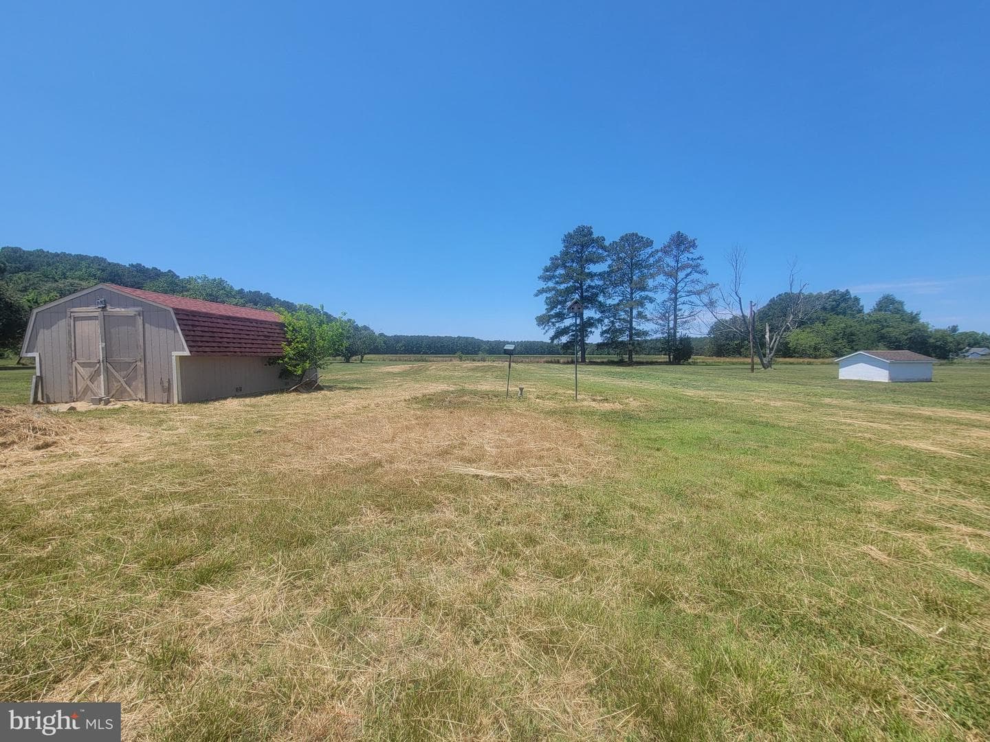 4658 White Marsh Road photo 7