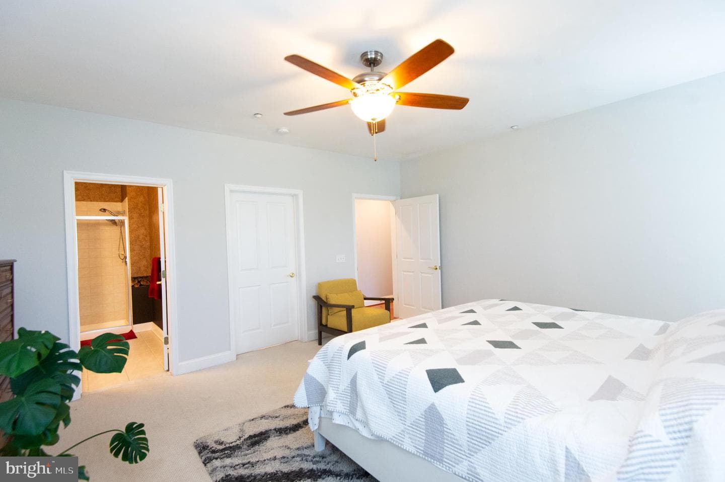 3 Oakley Street photo 22