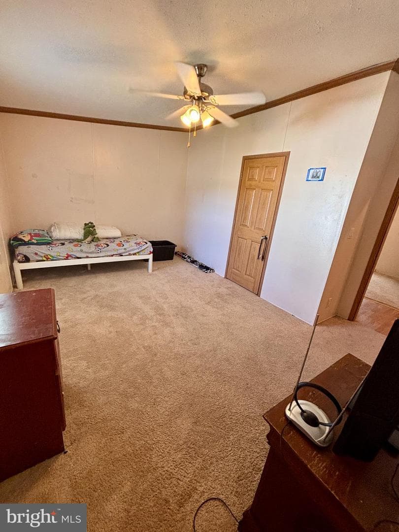 2631 Rebecca Ln photo 11