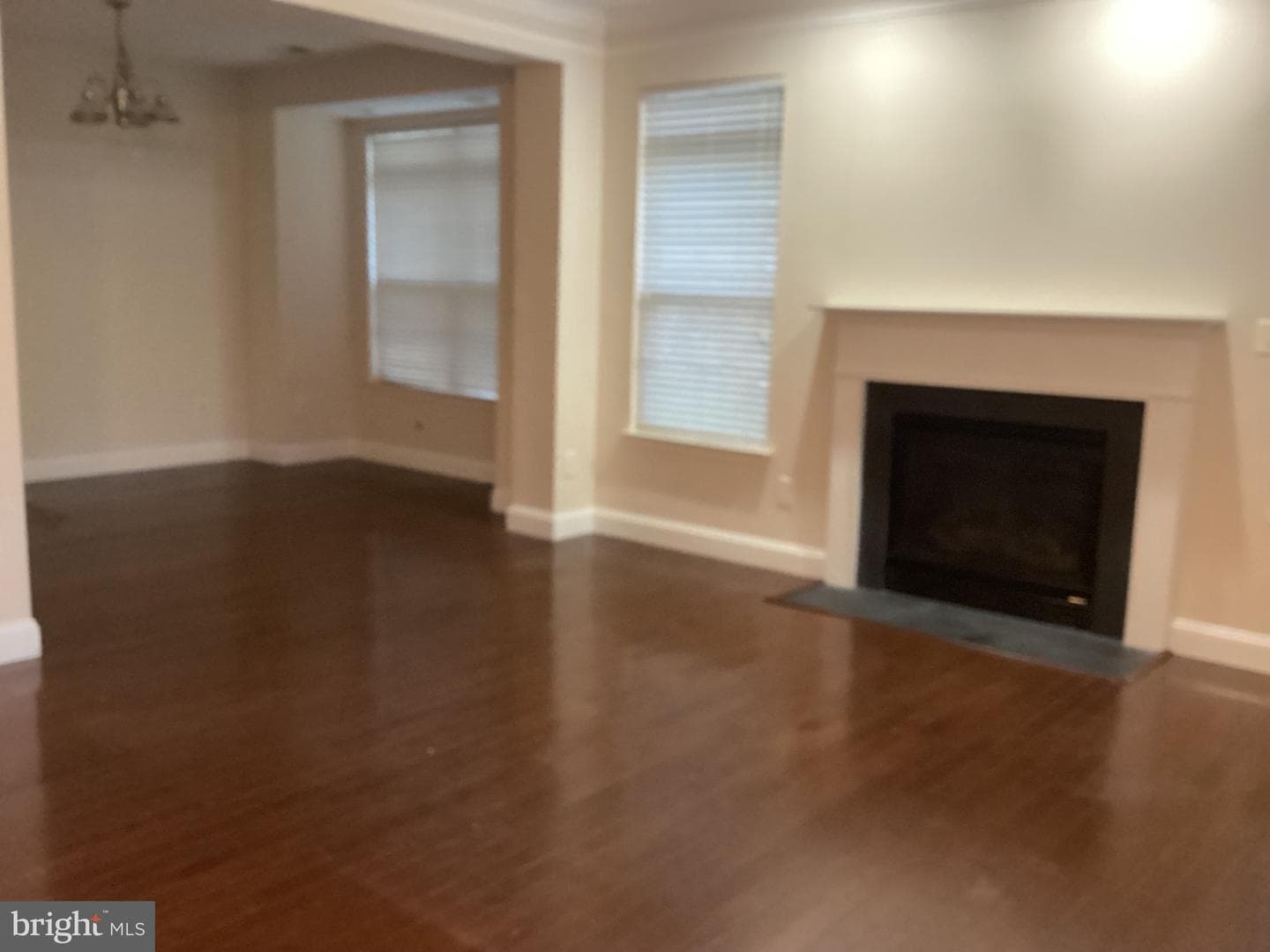 309 Old Squaw Court #30984582 photo 9