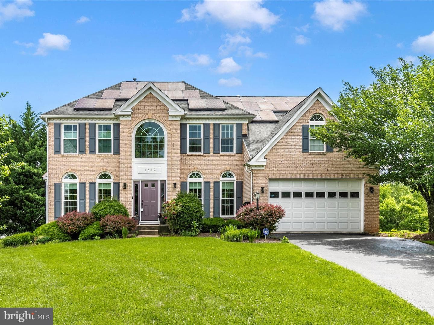 1802 Black Walnut Court photo 1