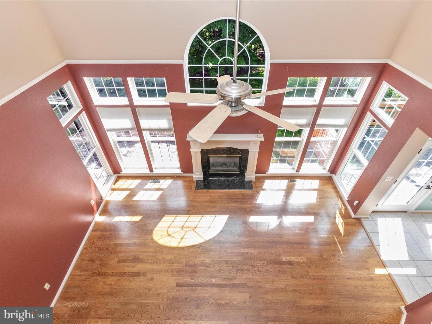 1802 Black Walnut Court photo 22