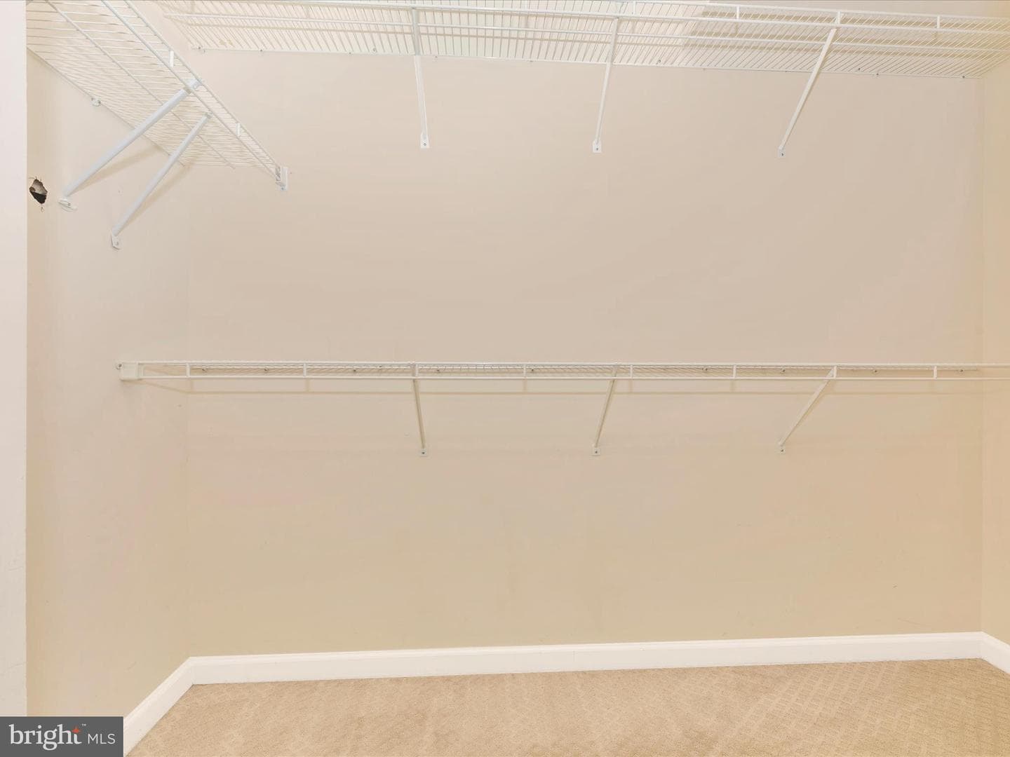 1802 Black Walnut Court photo 28