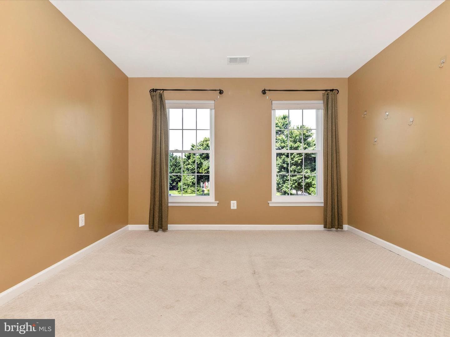 1802 Black Walnut Court photo 29