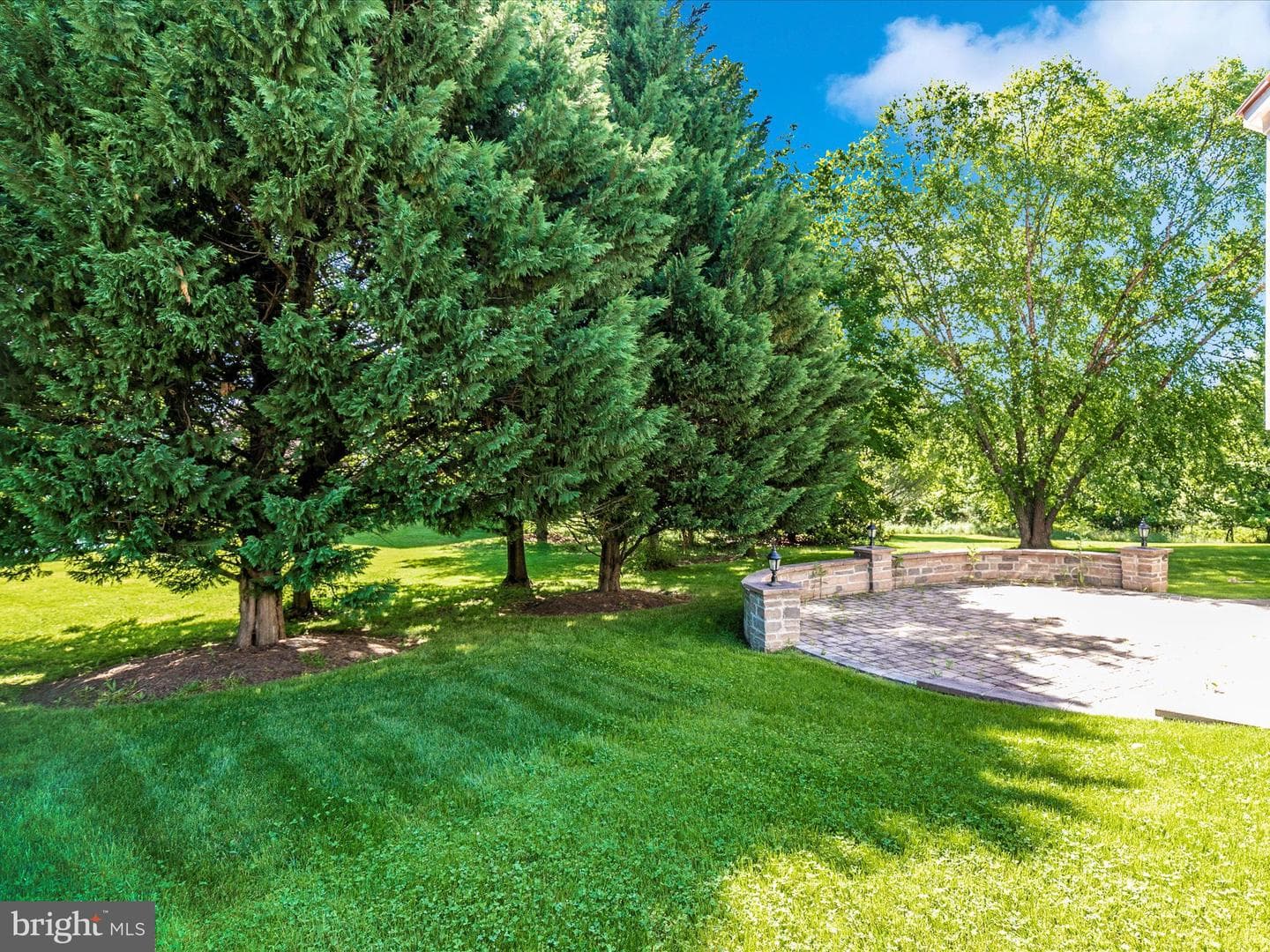 1802 Black Walnut Court photo 52